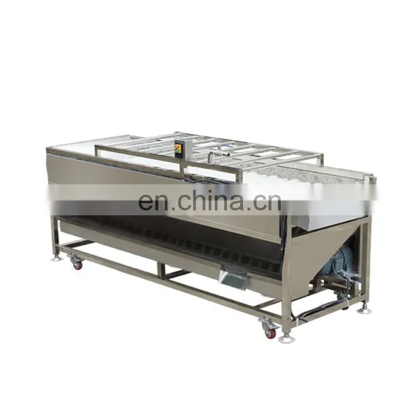 Industrial Automatic Red Bell Pepper Onion Tomato Vegetable Brush Roll Washing Machine for Sale photo-5