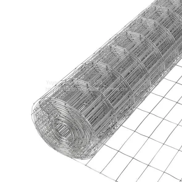 Galvanized Welded Wire Mesh photo-2