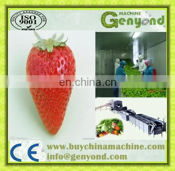 STRAWBERRY Quick Freezing Processing Line Machine photo-5