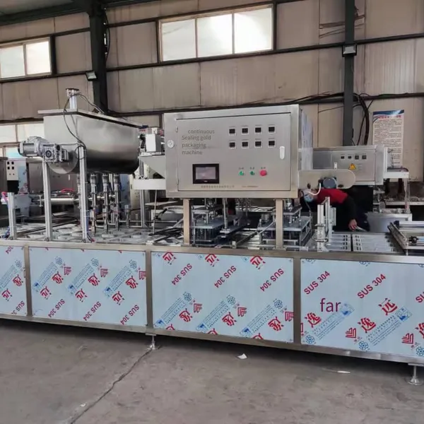 Automatic Filling and Sealing Machine for Boxed Corn Syrup, Box-type Vacuum Packaging Machine for Corn Syrup photo-2