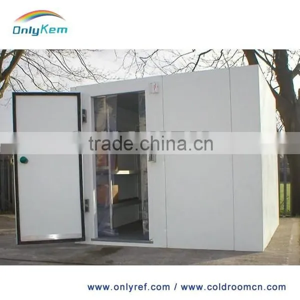 China Commercial Freezer for Fish and Chicken photo-5