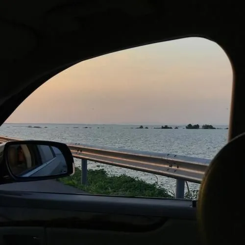 Car Glass & Window