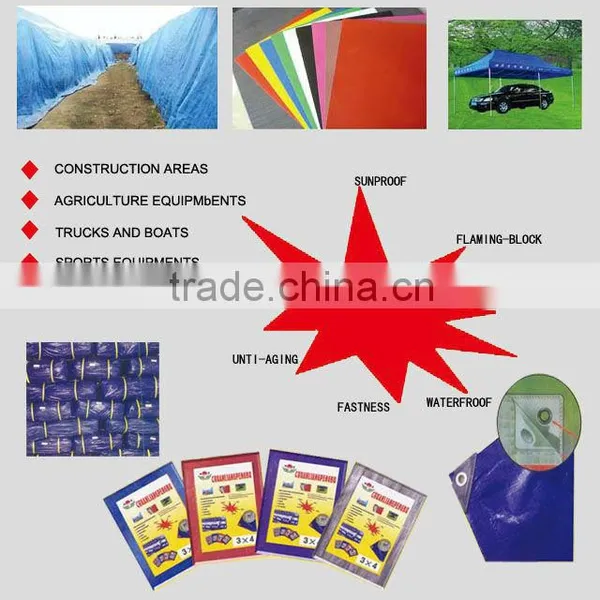 Laminated Tarpaulin PVC Car Sheds/Parking Sheds/School Sheds photo-4