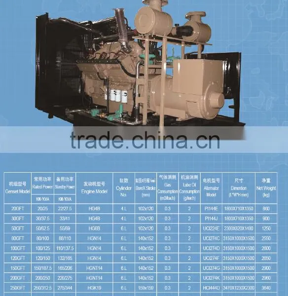 100KW/125KVA Natural Gas Generator With Cummins Engine With ATS/AMF and Strong Technical Support photo-2