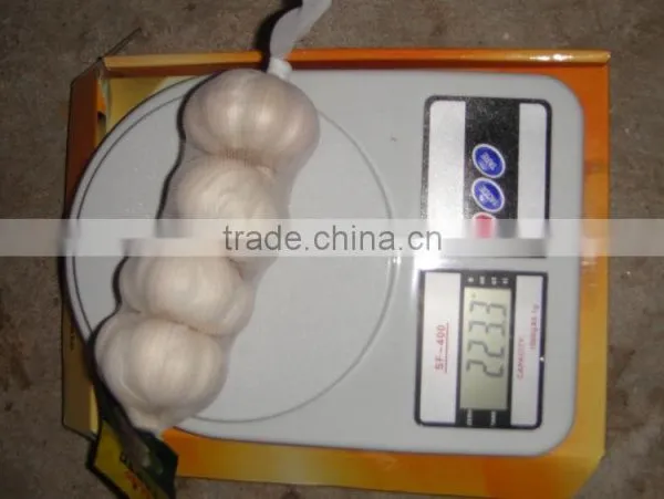 Pure White Garlic With 4 Pcs/bag Packing photo-2