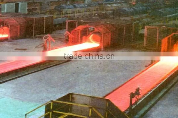 Laying Head photo-4