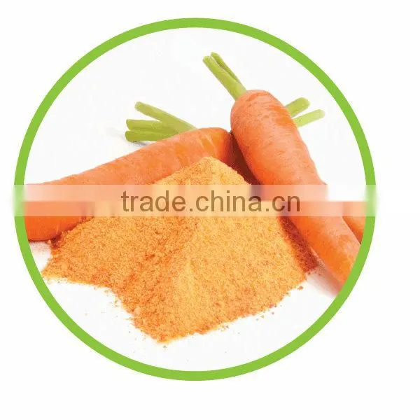 TTN Freeze Dried Vegetables Powder Dried Carrot Powder photo-3
