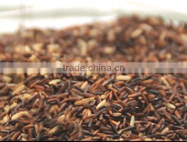 Riceberry Organic Rice photo-4