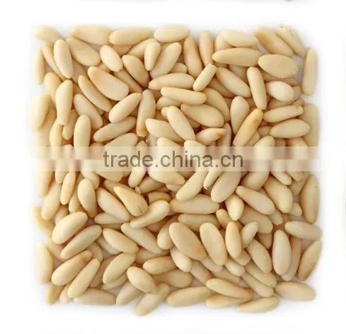 Pine Nut