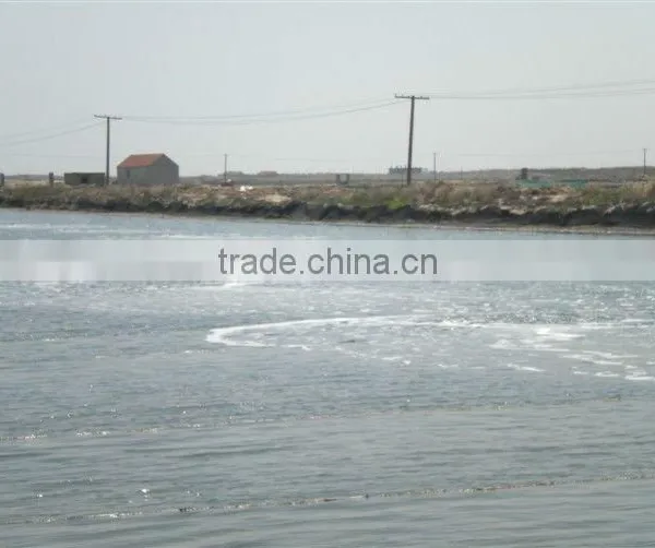 Aero Nano Tube Bubbling Air Through Water photo-6