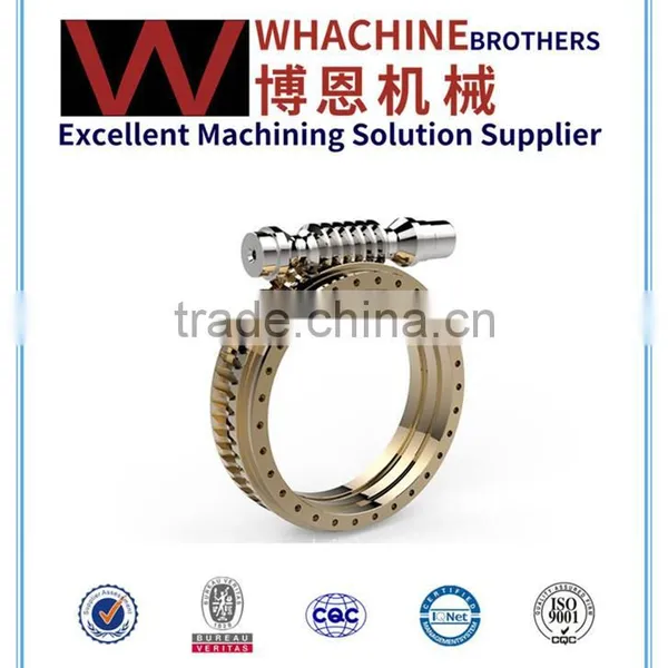 High Precision Micro Worm Gear With High Quality photo-3