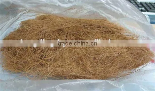High Quality Oil Palm Fiber Rotary Dryer/Coir Fibre Drying Machine to Malaysia,Indonesia and Malaysia Clients photo-4