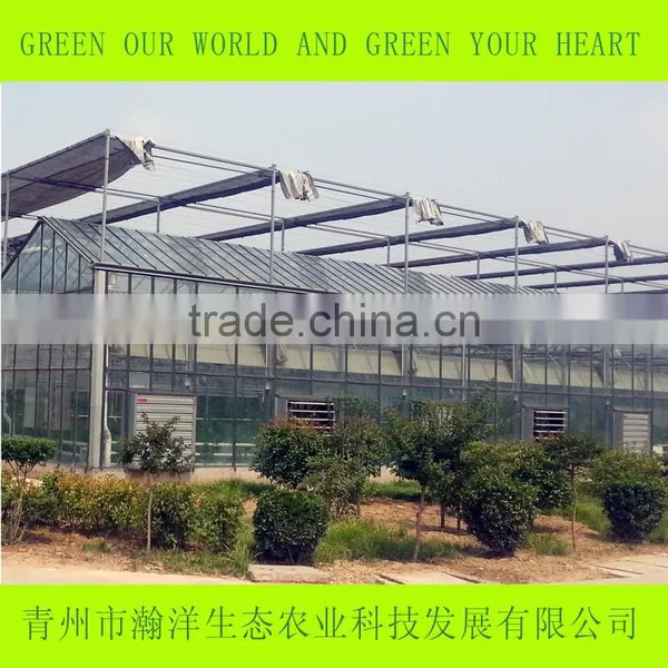 Multi Span Glass Greenhouse for Agriculture Planting photo-3