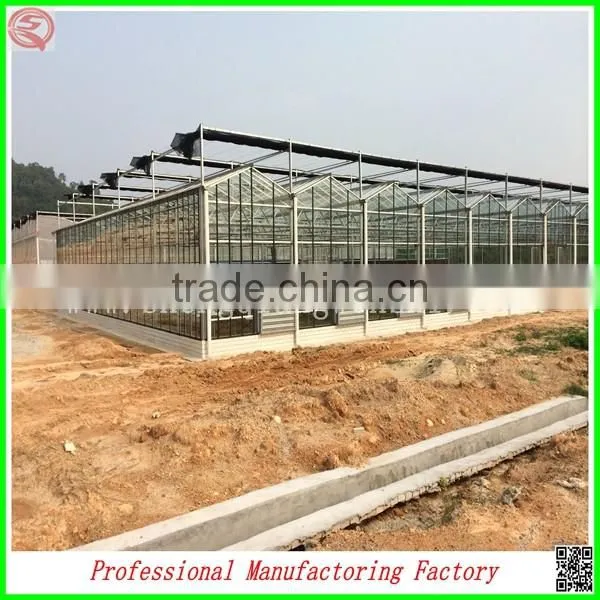 Economical Large Size Polycarbonate Greenhouse With Stable Aluminium Profiles photo-5
