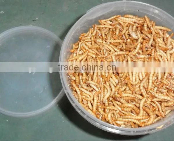 Freeze Dried Mealworm for Backyard Chicken photo-6