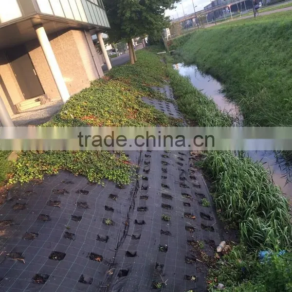 Polypropylene Sheet Ground Cover Fabric photo-4