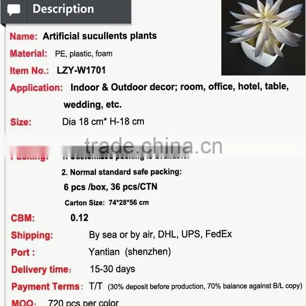 Hot Sale Artificial Potted Plants Chinese Succulent Plants photo-2