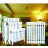Cast Iron Decoration Two Pole Wing Radiator