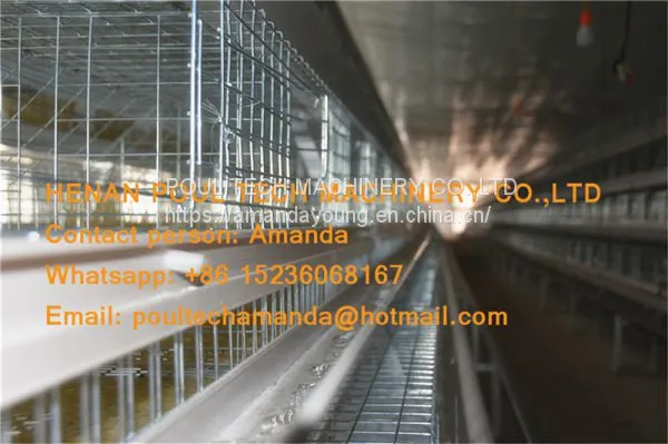 Cameroon Poultry Farm A Frame Automatic Small Chicken Cage & Pullet Coop With Nipple Drinker & Drop Cup in Chicken Shed photo-2