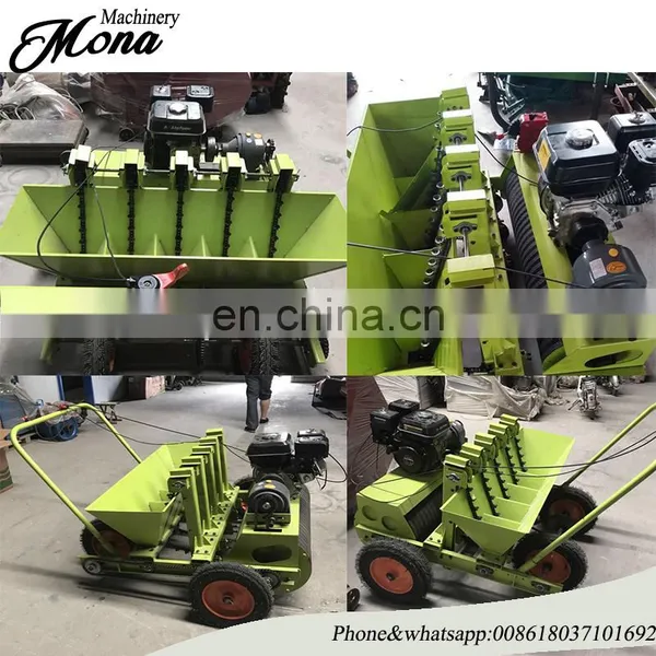 Trade Assurance 4 Row Gralic Planting Machine Garlic Planter for Sale photo-6