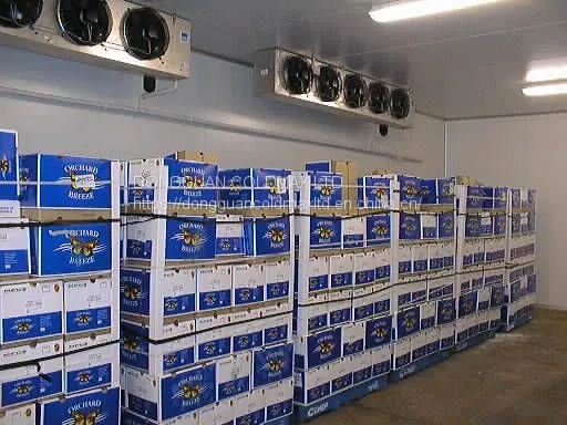 Cold Room Cold Storage for Potato photo-2