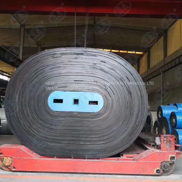 Cold-Resistant Conveyor Belts High Elasticity Conveyor Belts Impact Resistance Conveyor Belt Wear-resistant Conveyor Belt