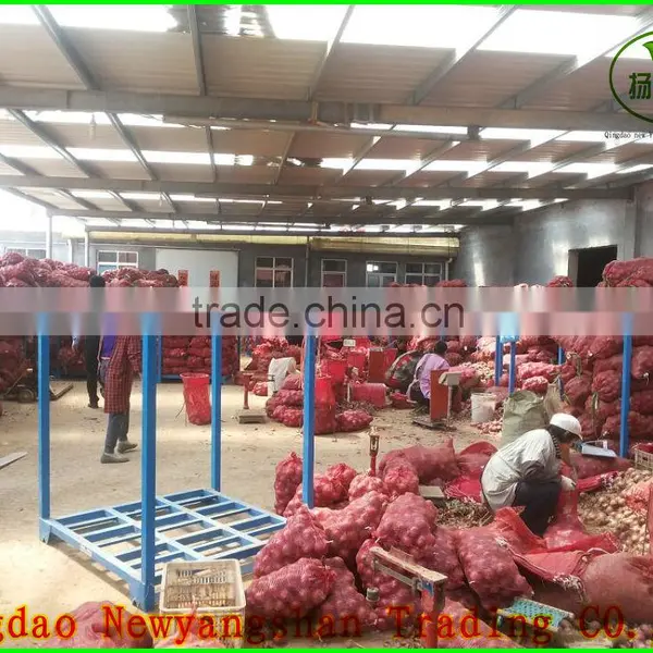 Little Red Onion Exports Southeast Asia/dubai/Fresh Onions photo-3