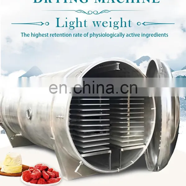 Industrial Lyophilizer Price Coffee Fruit Moisture Sublimation Machine photo-2