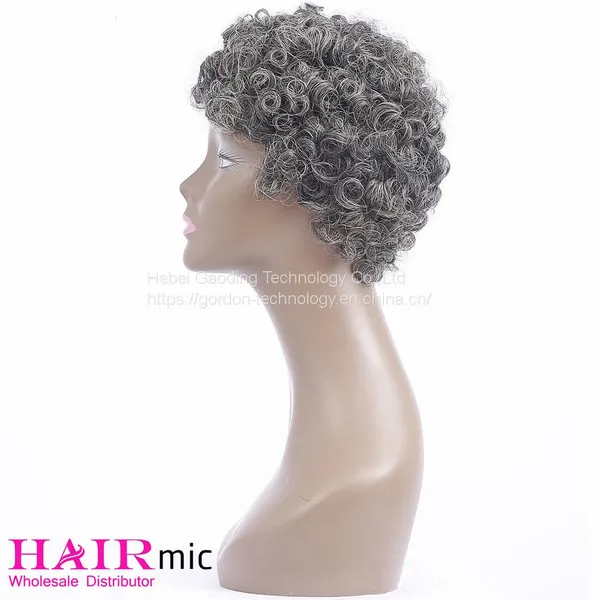 Gray Short Curly Full Lace Human Hair Wig Vendor photo-3