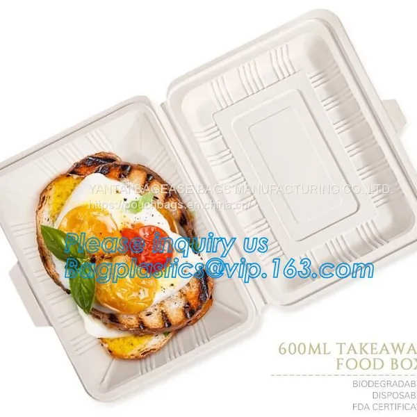 Compartment Hinged Container Sugarcane Bassage Pulp Food Serving Box 750ml Bassage Take Out Container Bagplastics Packa photo-5