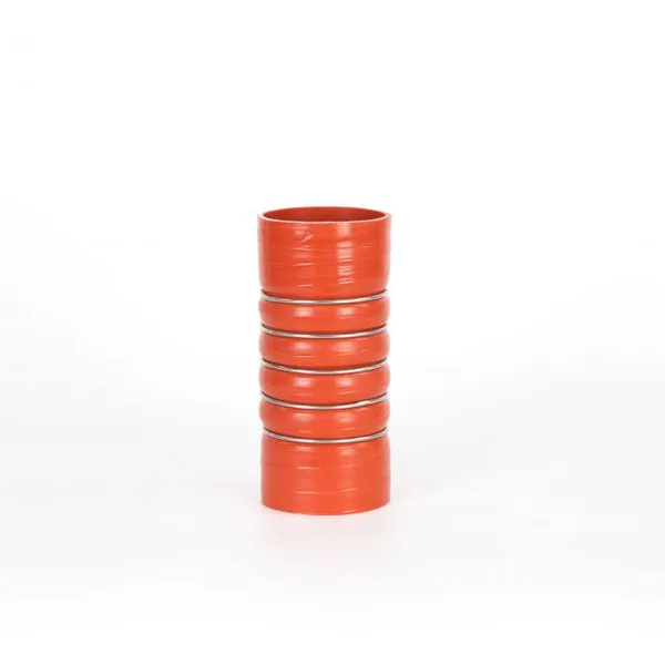 Silicone CAC Hose
