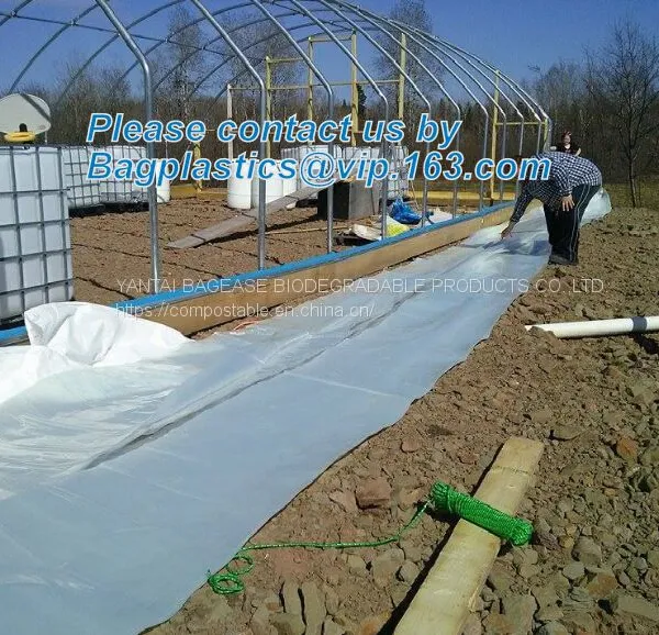 Plastic Film Agriculture Greenhouse,6 Mil Poly Anti-uv Plastic Greenhouse Film,Anti-fog UV Resistant,mushroom,TOMATO PAC photo-4