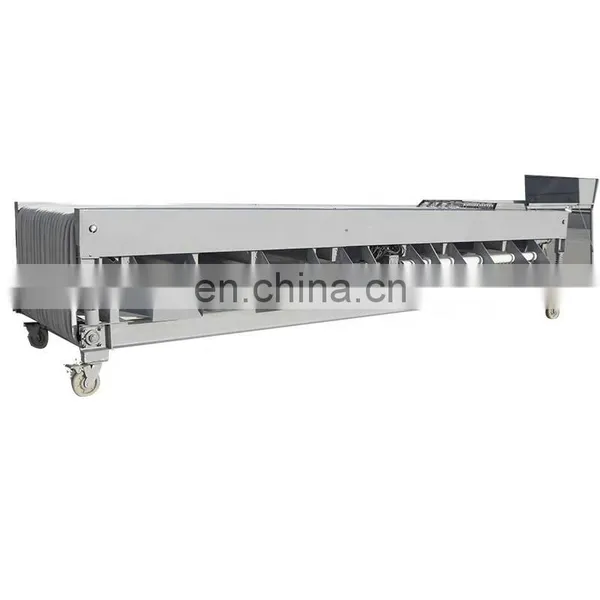 Multi-use Fruit and Vegetable Grading Machine photo-2