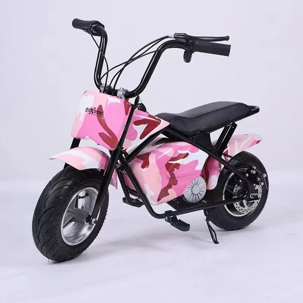 36V Two Wheel Electric Drift Vehicle Directly Supplied by Physical Factory