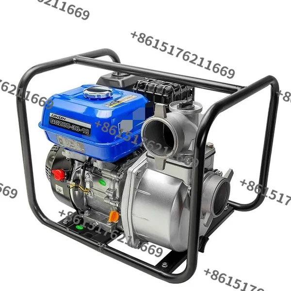 Water Pump/Gasoline Water Pump/Petrol Water Pump /Gasoline Engine Ql-30 10 Top10 in Movers & Shakers Engine Management photo-2