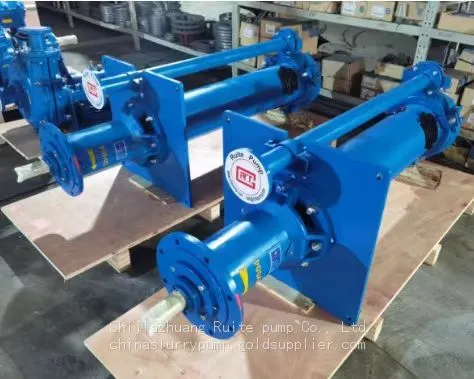 65QV-TSP(R) Vertical Slurry Pump for Silver Mine