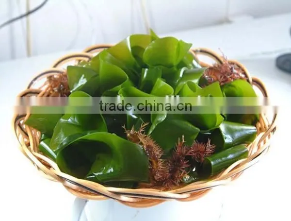 Chopped Dried Chuka Wakame,Korean Food In Fuzhou photo-4