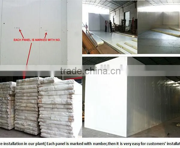 75-200mm PU Sandwich Panel for Cold Room