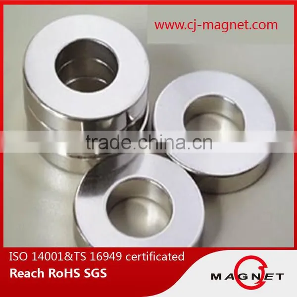 High Performance Ring Neodymium Magnet for Speaker photo-2