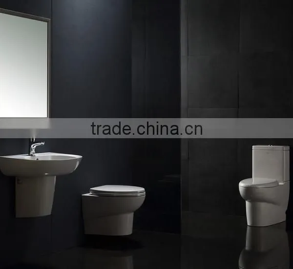 EAGO Ceramic Separate Washdown Water Closet WA379 photo-3
