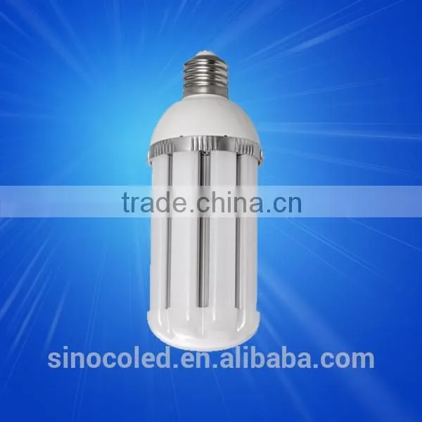 Outdoor Waterproof Ip65 30w 12v Led Garden Light photo-3