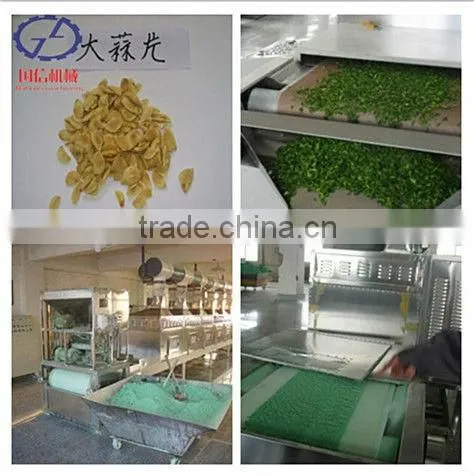 Hot Sales Tunnel Microwave Drying Machine photo-6