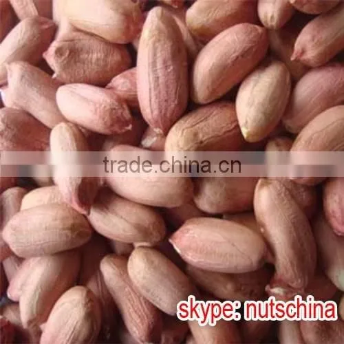 Blanched Peanuts 25/29 29/33 photo-5