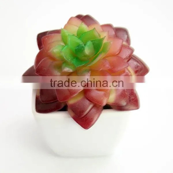 Wholesale Indoor Home Decoration Artificial Plant With Cement Flower Pot photo-4