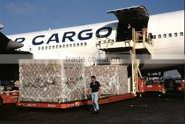 Special (air Forwarder) From China to Singapore Door to Door Service