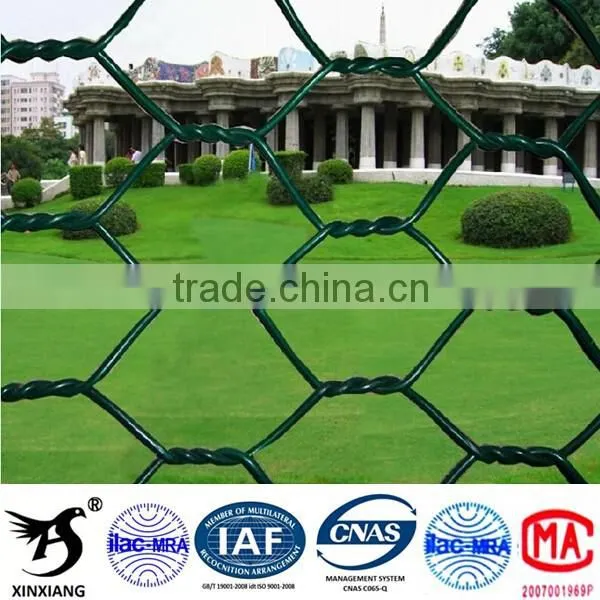 Anping Hexagonal Mesh photo-2