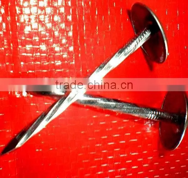 Galvanized Nails