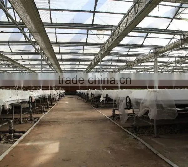 Commercial -Agricultural Polycarbonate Greenhouse photo-5