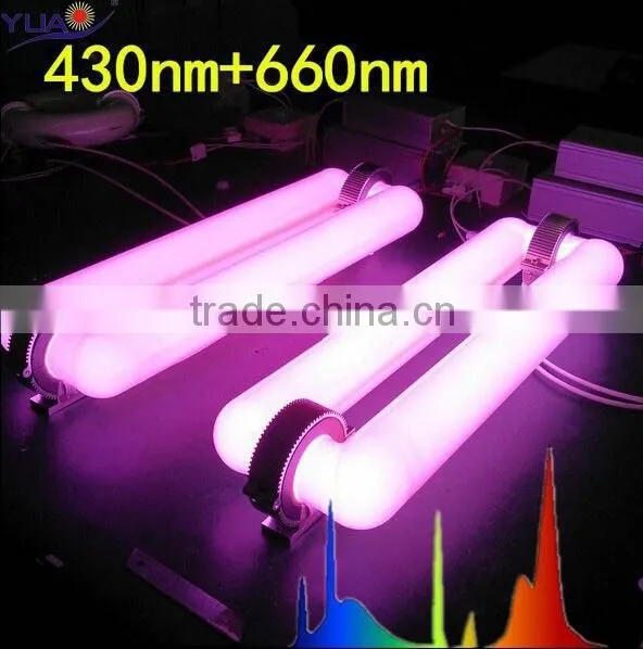 6500K 5000K 2700k Induction Light 200W Full Spectrum Led From Sun Light photo-2