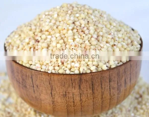2015 Low Price Sorghum Mill photo-6